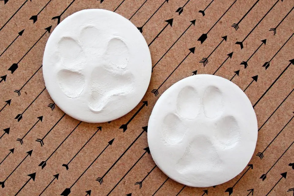 PawPrints_PhotoDalmatianDIY.jpg